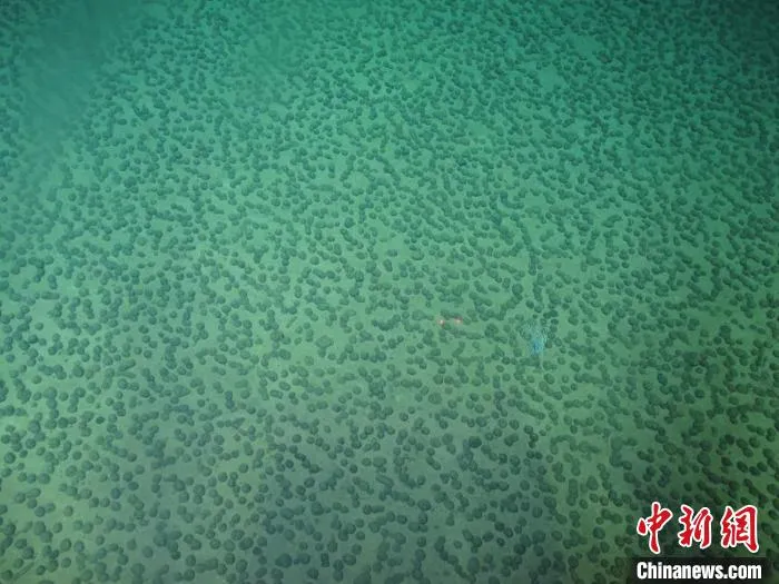 图片 3.png