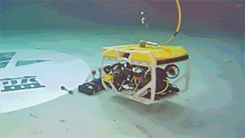 7.gif