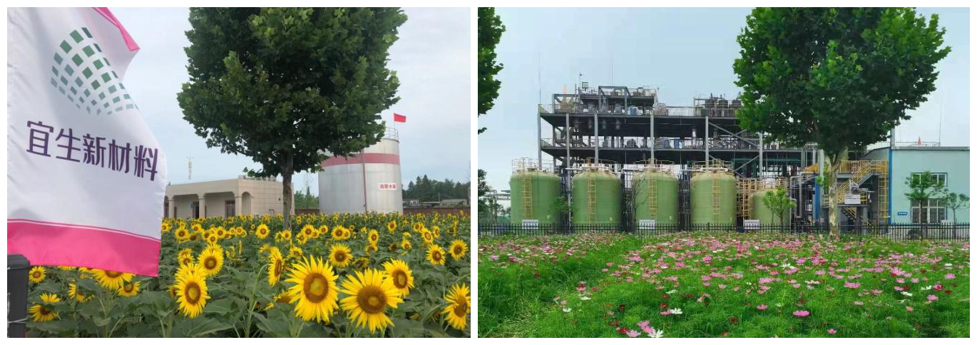 1628501176361197.png 1628501176361197.png