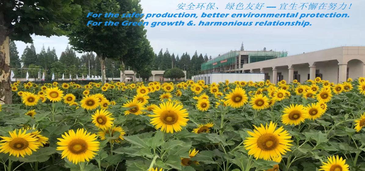 1628501200227614.png 1628501200227614.png